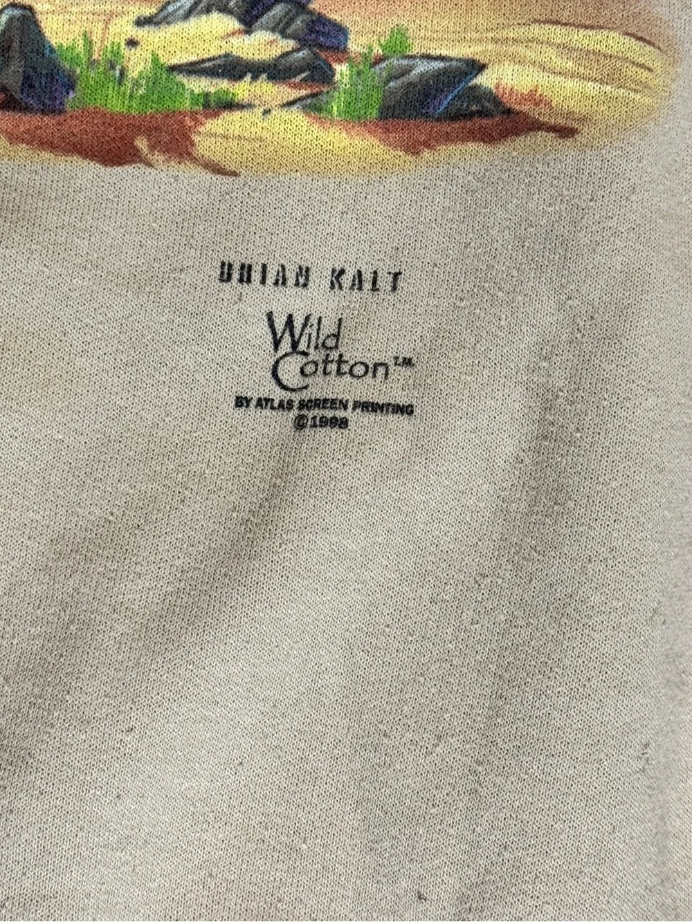90s Vintage Hanes Wild Cotton Brian Kalt Elephant Sweatshirt Size L Made USA
